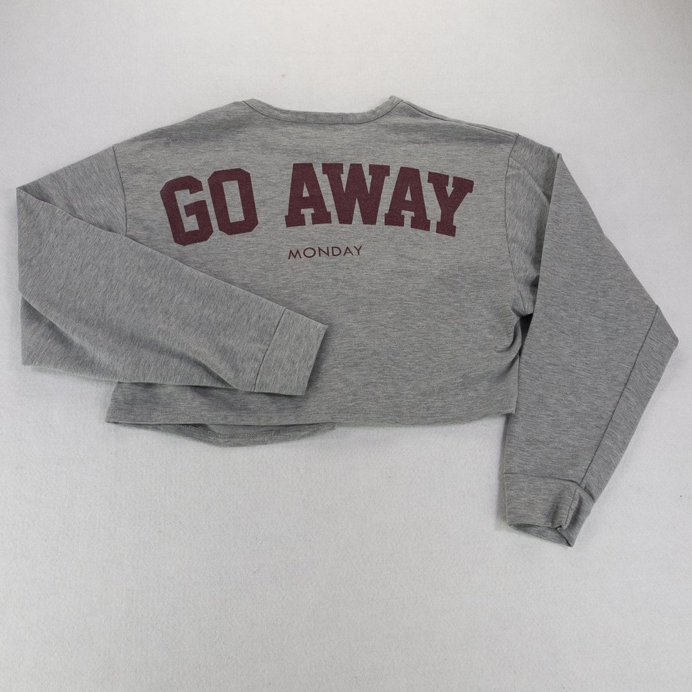 Papaya Womens Shirt Gray Large Long Sleeve Crew Neck Cropped Go Away Monday 1087